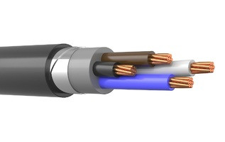 Кабель ВБШв нг (А)-LS 4х25 мк-0.660 ТРТС